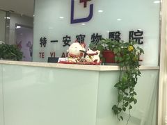 -特一安24小时宠物医院·骨科·中兽医