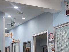 -纳吉亚猫专科动物诊疗中心(蒋宅口分院)