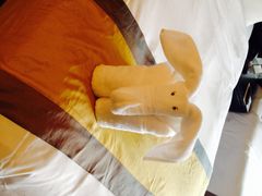 iphone_upload_pic-天目湖涵田度假村