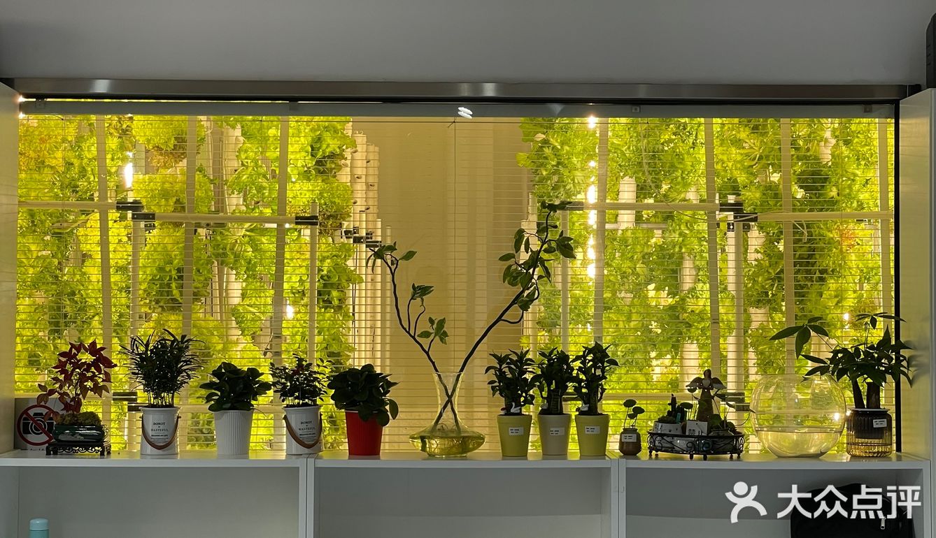 这家店用的是自己种的菜