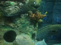 -乌鲁木齐海洋馆