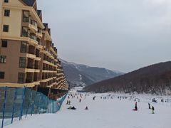 -密苑云顶乐园(云顶滑雪场)