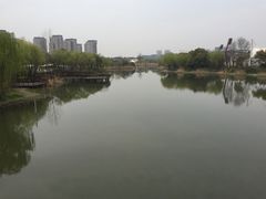 -新江湾城公园