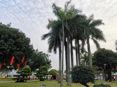 -汕头市小公园
