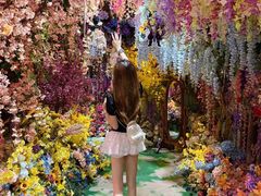 -正佳雨林生态植物园