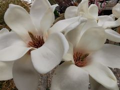 -南长河公园