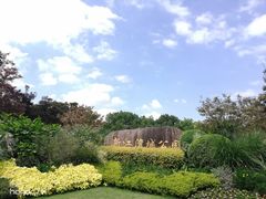 -新江湾城公园