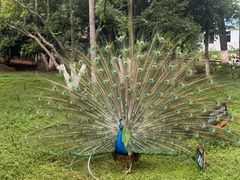 -昆明动物园