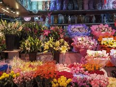-大自然花鸟鱼虫市场