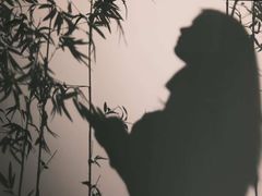 -六朝博物馆