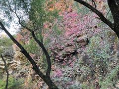 -龙门涧景区