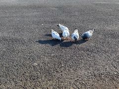 -浙江农林大学(东湖校区)