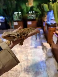 -酷嗒动物文化乐园(cutezoo西溪乐天城店)