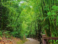 -赤水丹霞旅游区·大瀑布