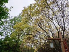 -洛阳市隋唐城遗址植物园