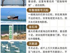 -幸福门