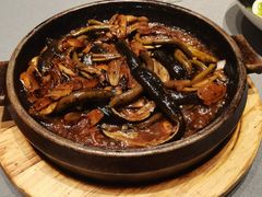 -阿五黄河大鲤鱼(海尚店)
