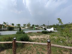 -爪吧宠物乐园·宠物泳池(温榆河示范区店)