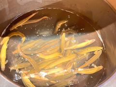 -鸽子窝(青塔店)