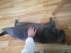 -壹人壹像工作室(购物公园店)