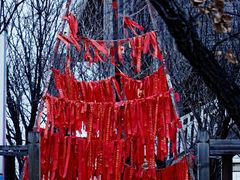 -帽儿山国家森林公园