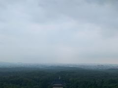 -紫金山山顶公园