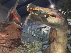 -湖南省地质博物馆