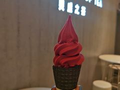 冰山杨梅脆筒-喜茶(贵阳国贸逸天城店)