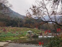 -广州市石门国家森林公园
