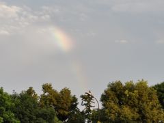 -合肥滨湖国家森林公园