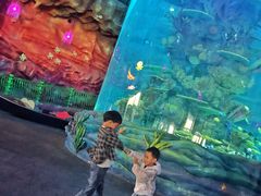 -青岛嘉年华主题乐园