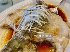 清蒸鲈鱼-香丰阁·烤鸭·川湘菜(昌平店)