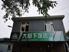 门面-大树下饭店(春晓镇慈岙社区卫生服务站南)
