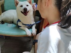 -猫色咖啡·猫咖