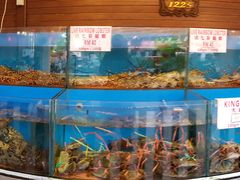 大堂-真浪花园海鲜餐馆