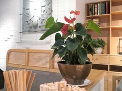 -龙抄手食府(浣花北路店)