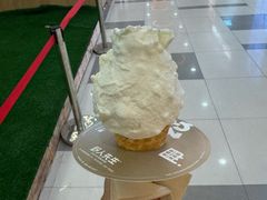 -野人先生Gelato(上海长宁龙之梦店)
