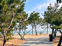 -巧克力渔家.小船海鲜胶东菜(三浴场店)