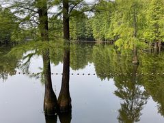 -尚湖风景区