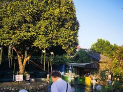-天怡·鱼工厂(临江店)