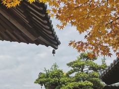 -广富林郊野公园