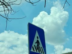 -天羽烤乳鸽店(财大家属院店)