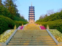 -宜兴龙背山森林公园