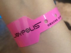 门条-上海JOYPOLIS环游嘉年华主题乐园
