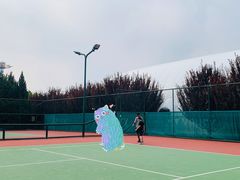 -朝阳公园体育中心