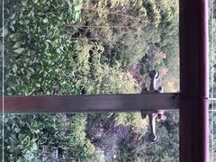 -上海佘山世茂艾美酒店