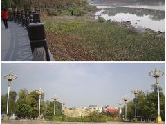-海珠湖公园