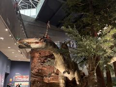 -湖南省地质博物馆