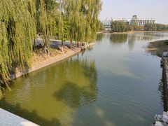 -大兴滨河森林公园