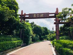 -大屏嶂森林公园